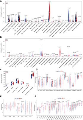 Molecular subtyping of acute myeloid leukemia through ferroptosis signatures predicts prognosis and deciphers the immune microenvironment